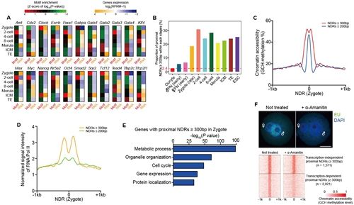 汤富酬课题组发表单细胞表观多组学测序技术的最新研究成果